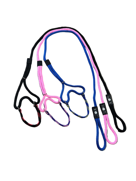 Martingale Leash