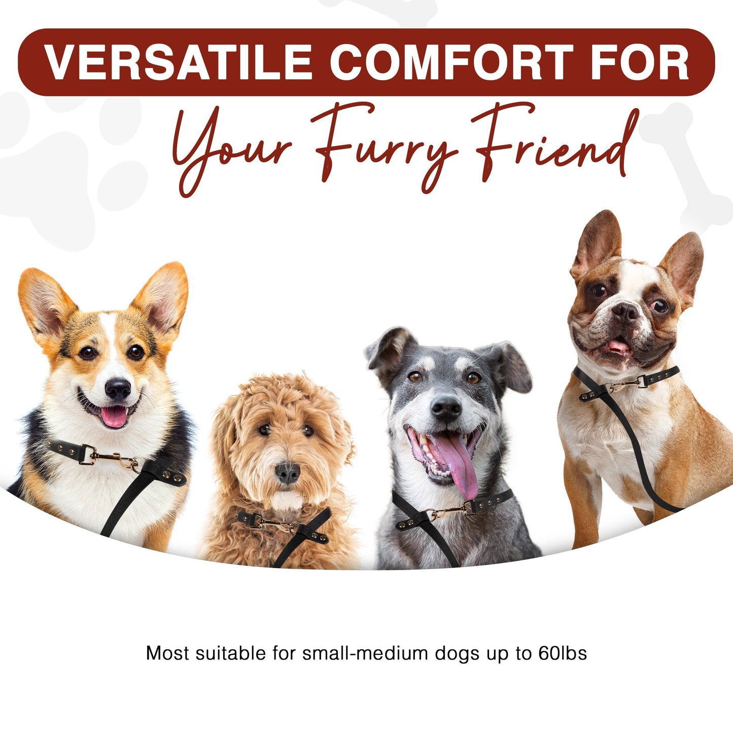 Hands Free Dog Leash