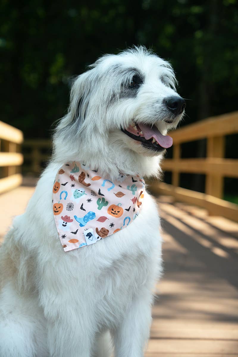 It's Fall Y'all Dog Bandana