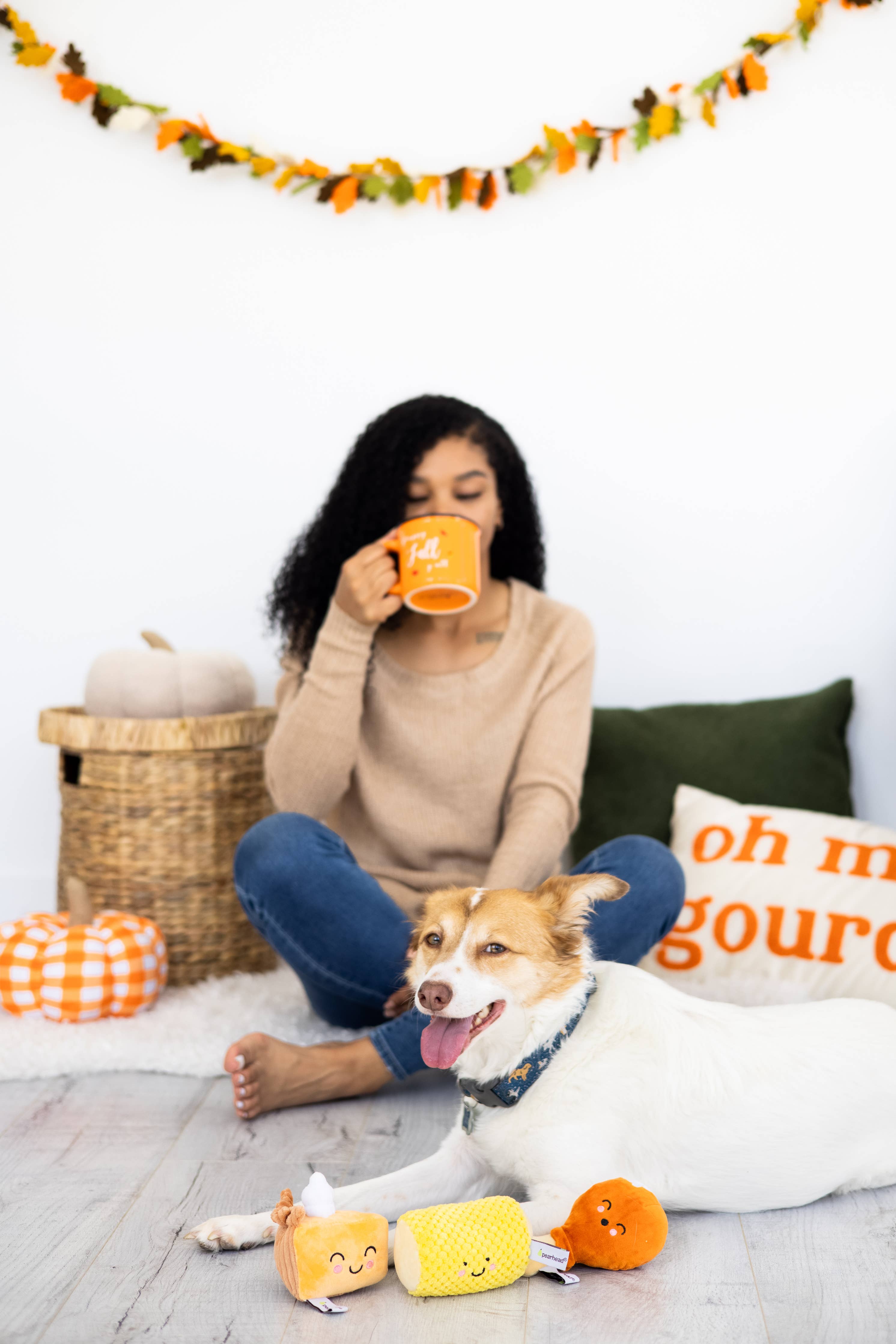 Thanksgiving Dinner Fall Dog Toys, Set of 3