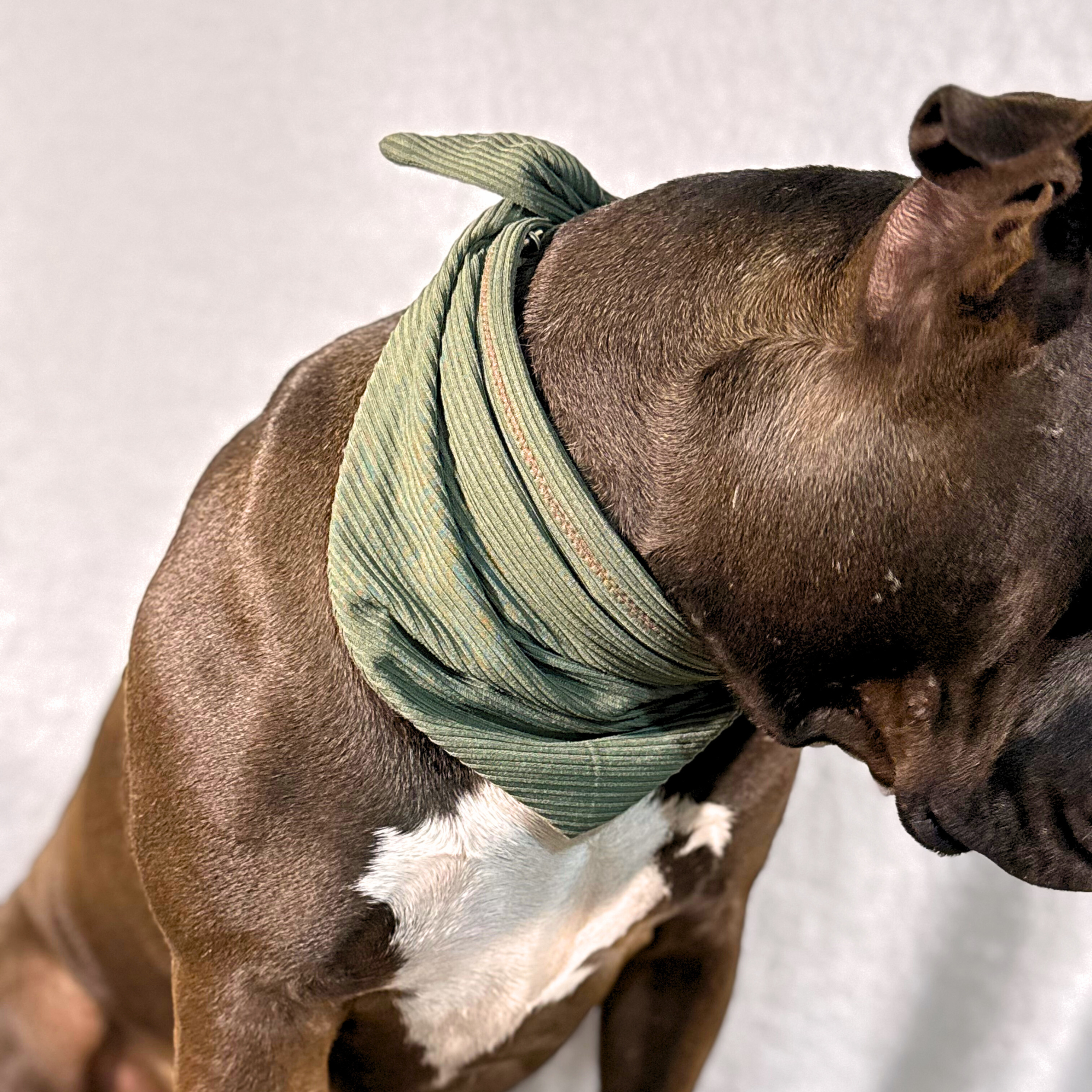 Stretch Bandanas