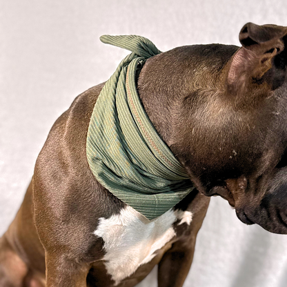 Stretch Bandanas