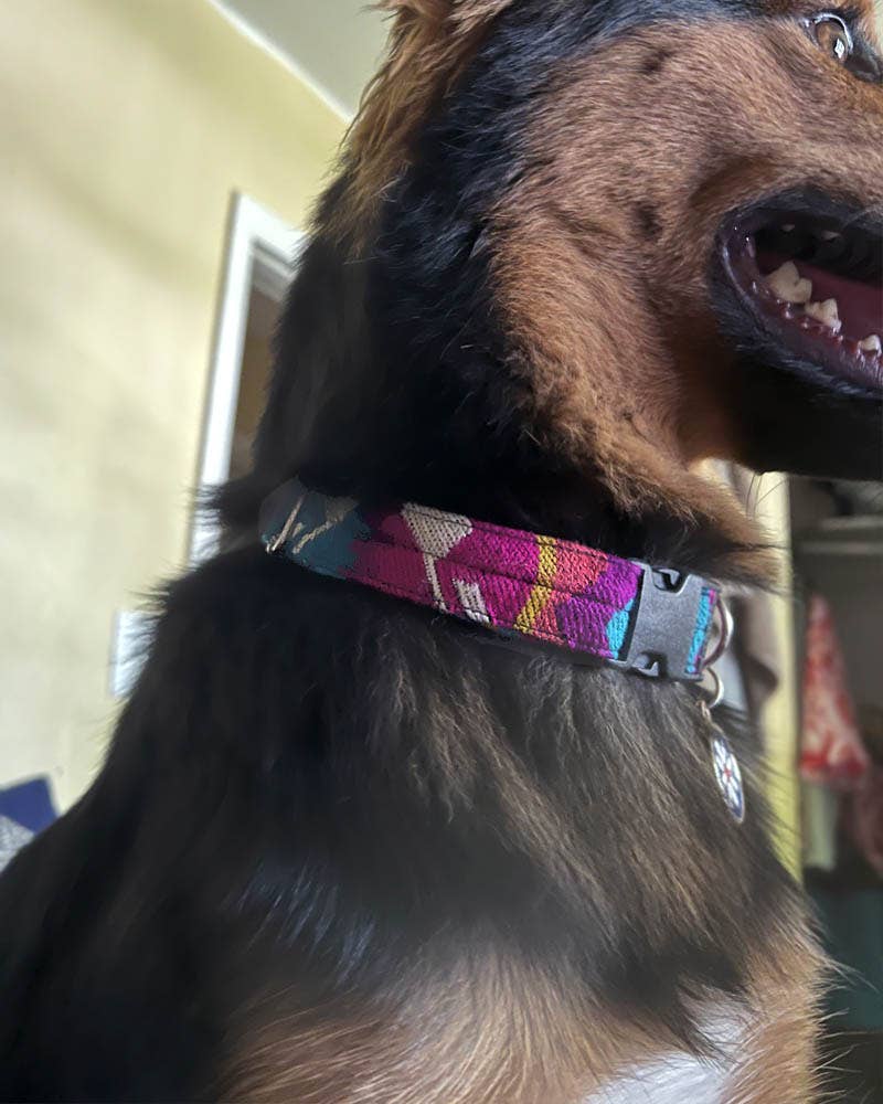 Tribal Pattern Ecuadorian Large Pet Dog Thin Collar