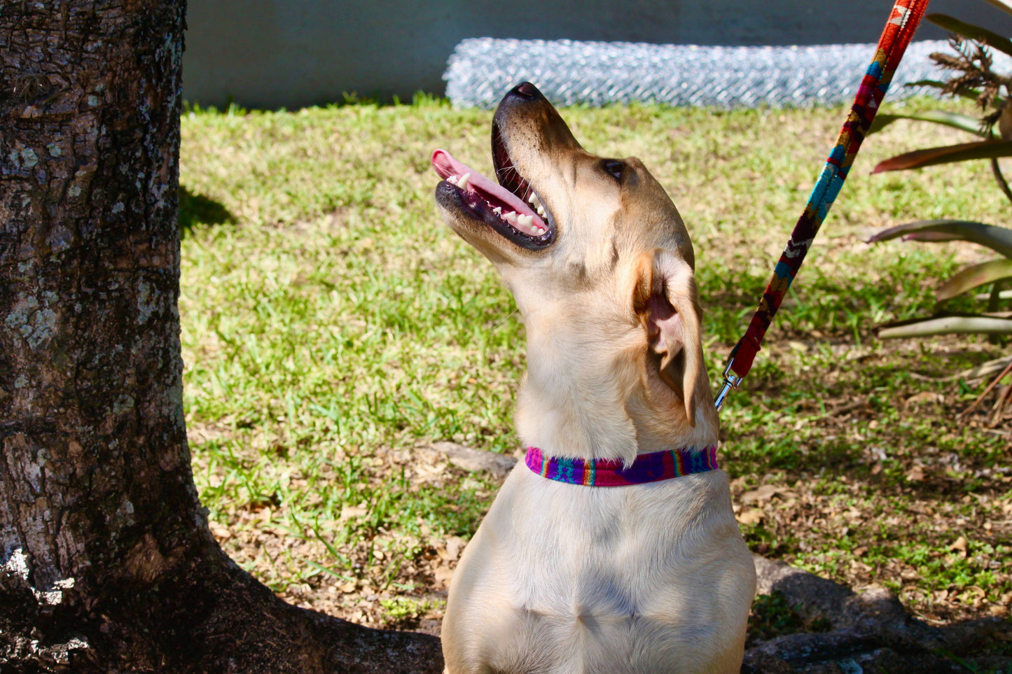 Tribal Pattern Ecuadorian Pet Dog Leash