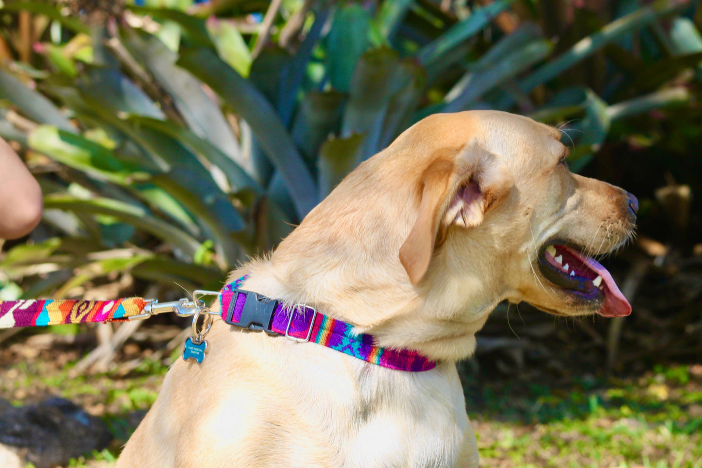 Tribal Pattern Ecuadorian Large Pet Dog Thin Collar