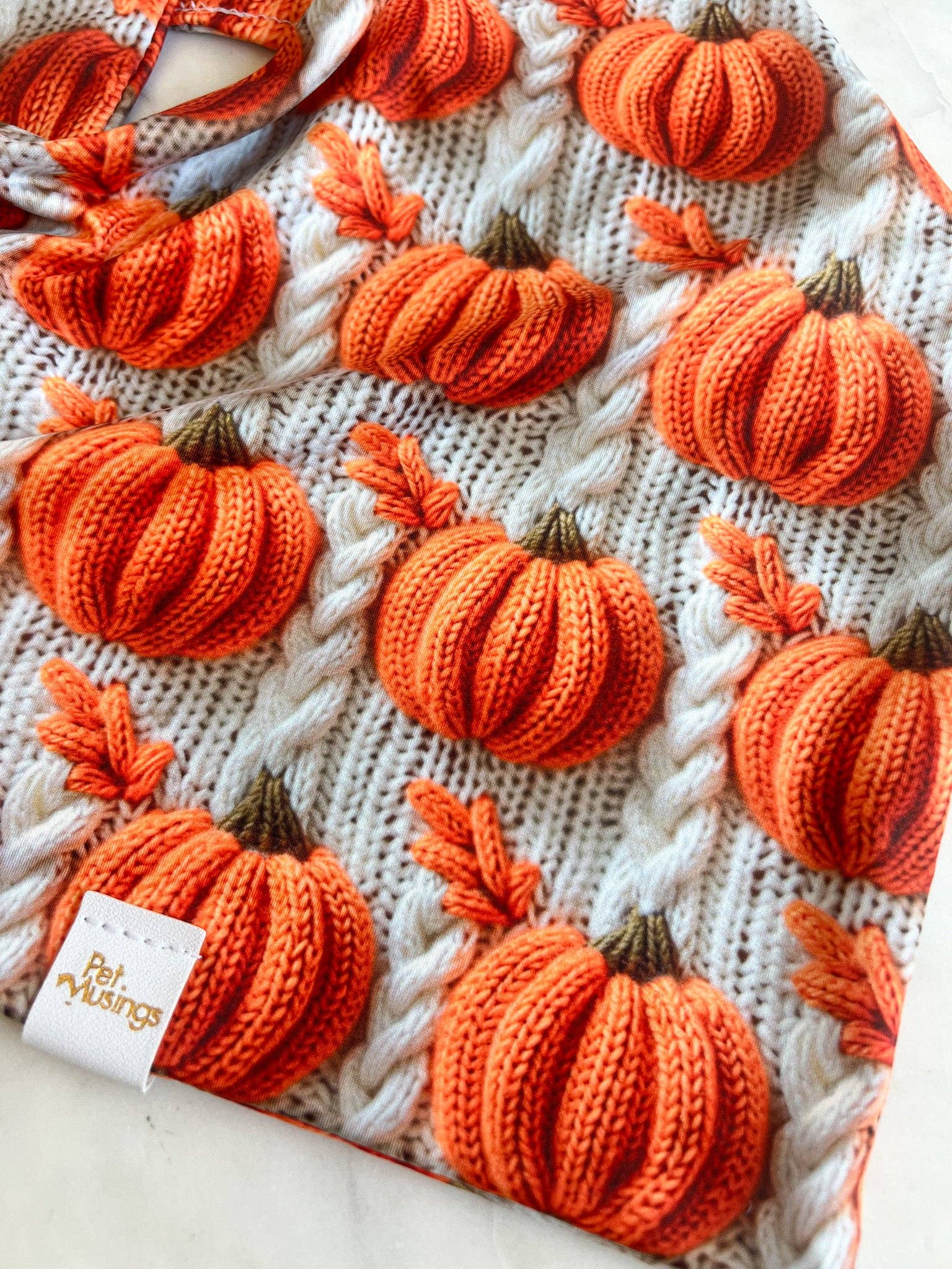 Pumpkin Patch 3d Knit Wrinkle Resistant Bandana