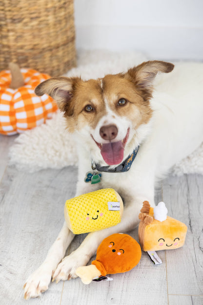 Thanksgiving Dinner Fall Dog Toys, Set of 3