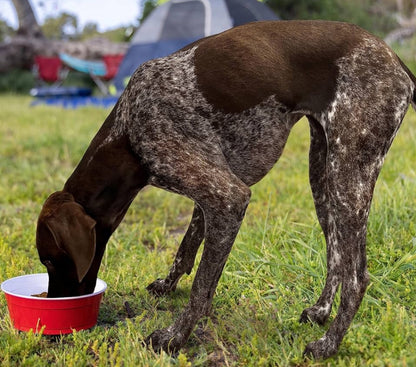 Red Solo Dog Bowl