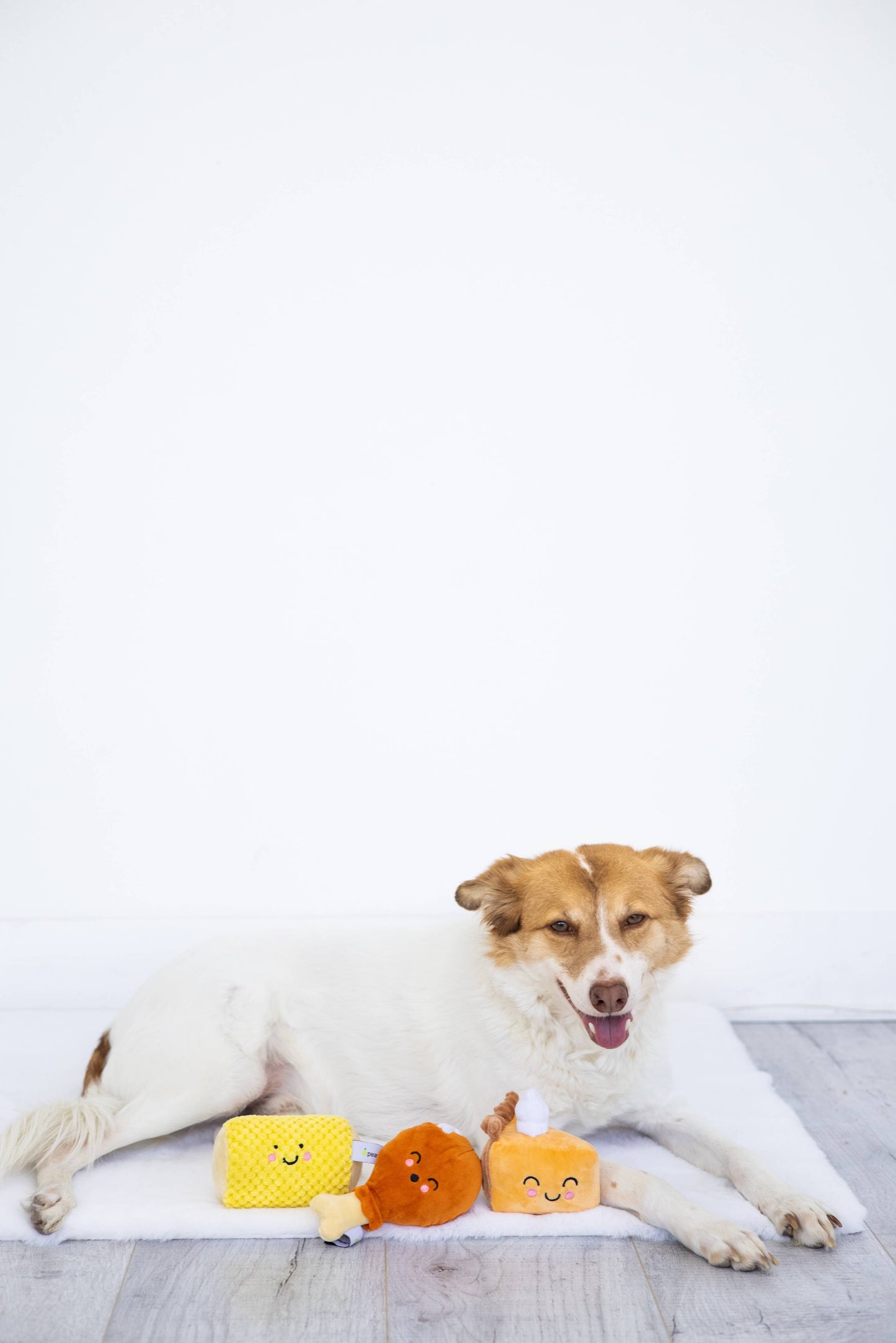 Thanksgiving Dinner Fall Dog Toys, Set of 3