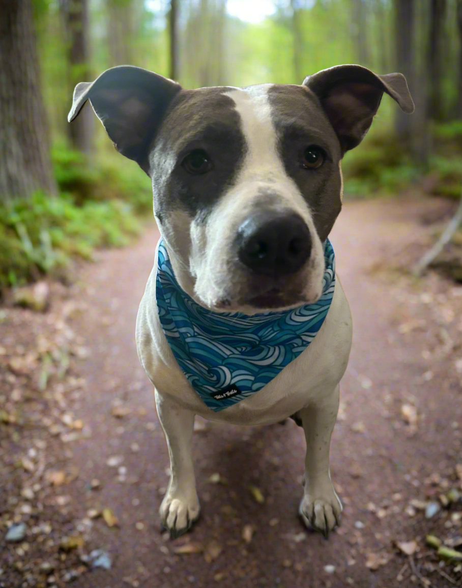 Riptide Cooling Bandana