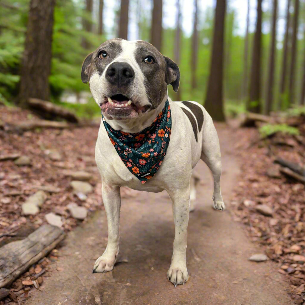Floral Cooling Bandana