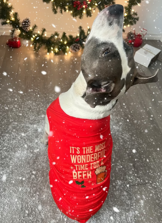 It’s the Most Wonderful Time for a Beer 🍺 Dog Tank