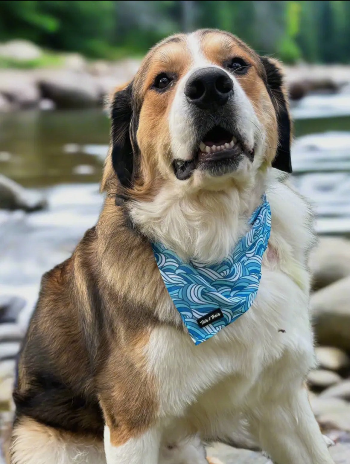 Riptide Cooling Bandana