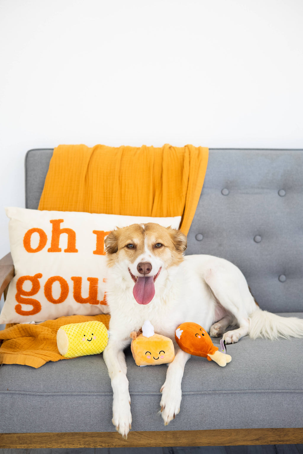 Thanksgiving Dinner Fall Dog Toys, Set of 3