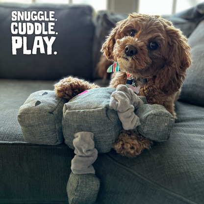 Ryder the Robot Dog Toy