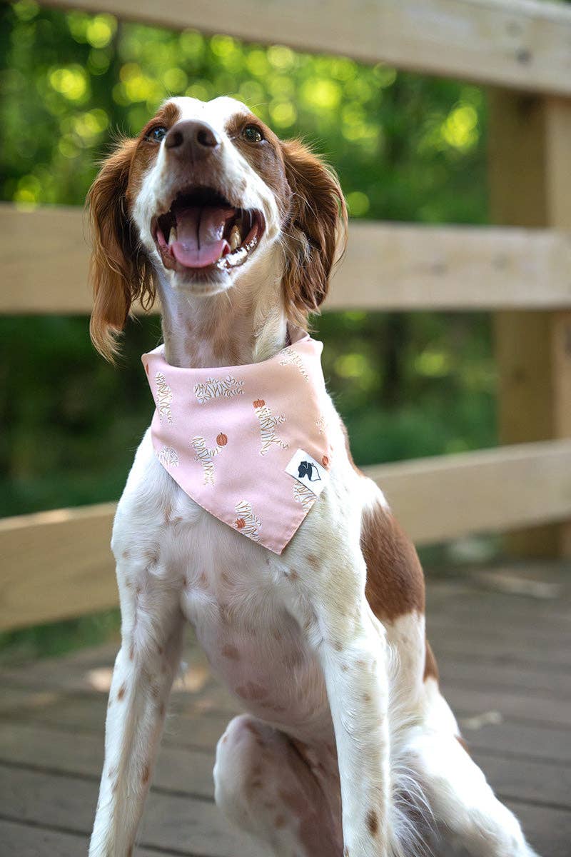 Mummy & Ghost Dog Bandana