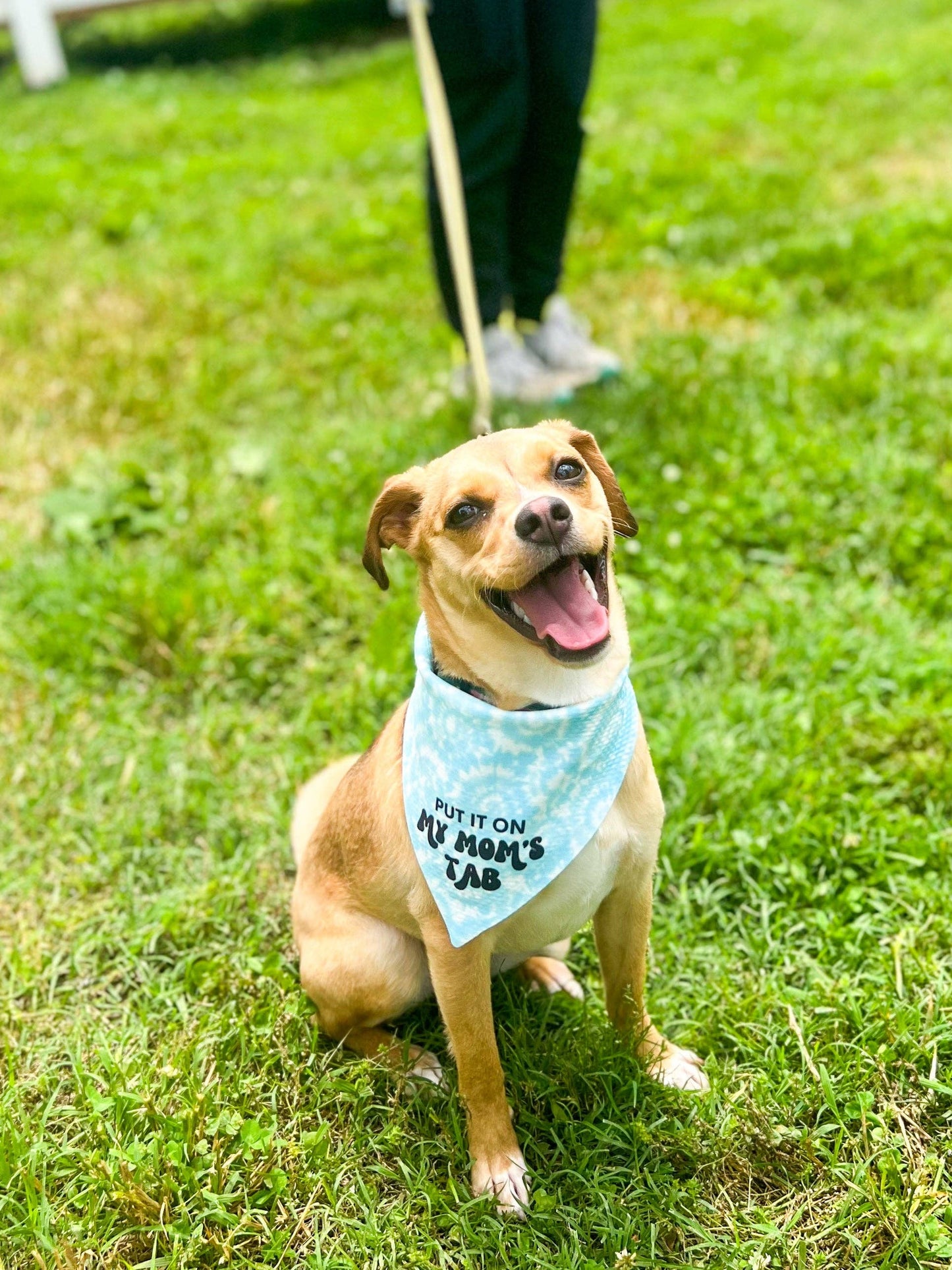 My Mom’s Tab Tie Dye Wrinkle Resistant Bandana