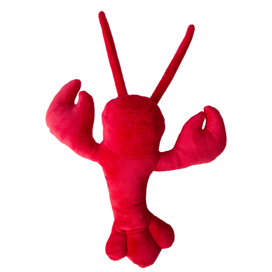 Luca the Lobster