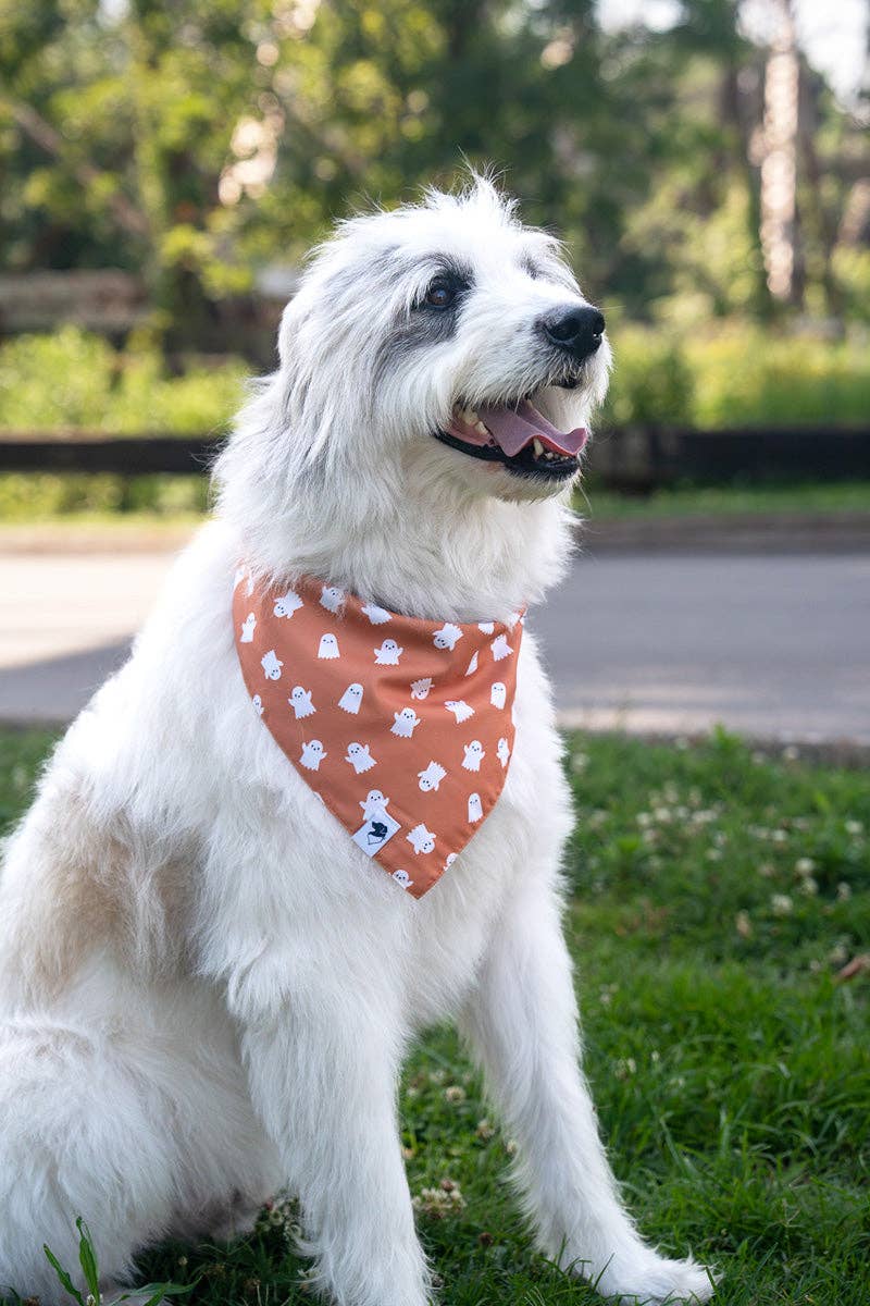 Mummy & Ghost Dog Bandana