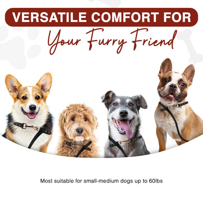 Hands Free Dog Leash