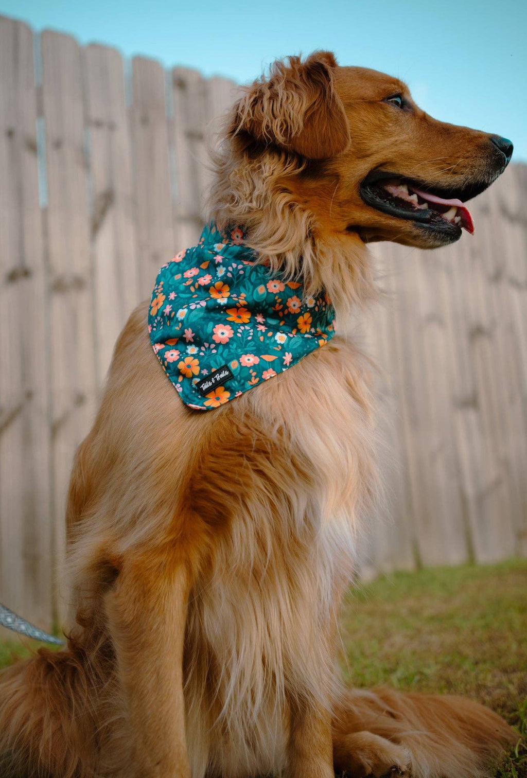 Floral Cooling Bandana