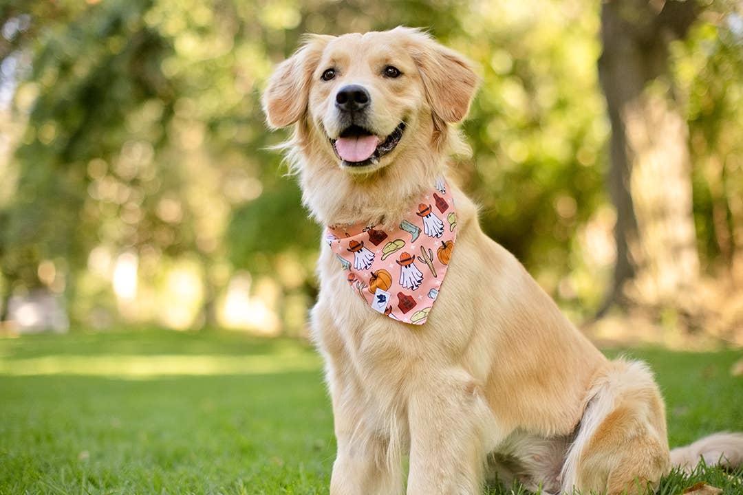 It's Fall Y'all Dog Bandana