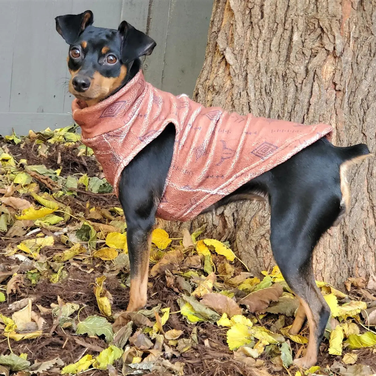 Dog Fleece | Distressed Wild West